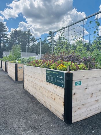 Community garden